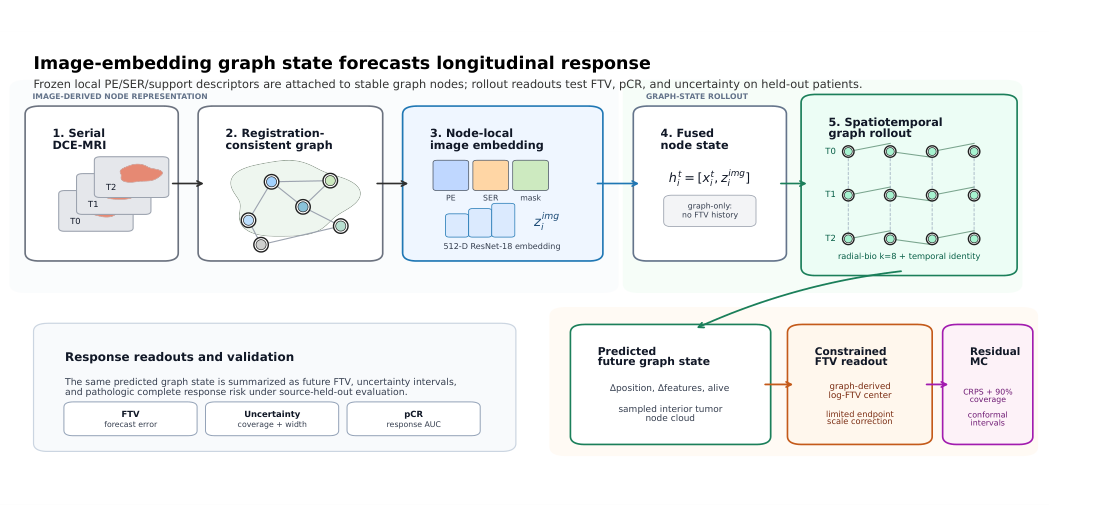 Manuscript diagram showing registered image patches, persistent tumor regions, graph-state forecasting, and linked response readouts.